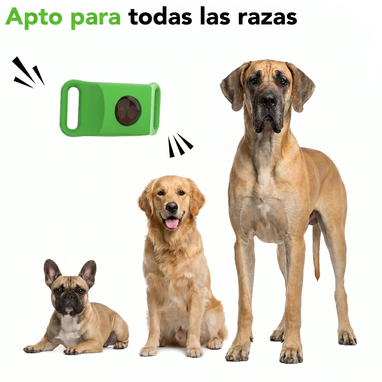 Collar natural antipulgas y antigarrapatas para perros