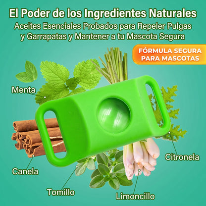 Collar natural antipulgas y antigarrapatas para perros